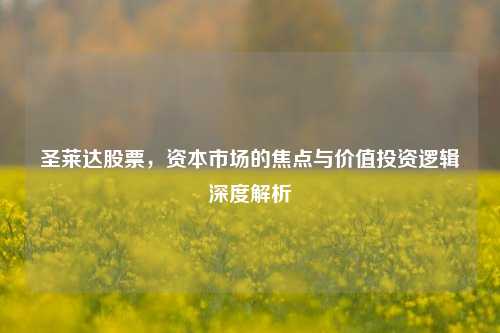 圣莱达股票，资本市场的焦点与价值投资逻辑深度解析