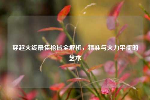穿越火线最佳枪械全解析，精准与火力平衡的艺术