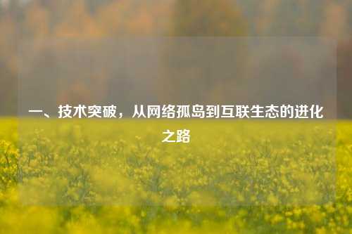 一、技术突破，从网络孤岛到互联生态的进化之路