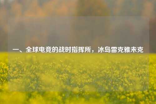一、全球电竞的战时指挥所，冰岛雷克雅未克