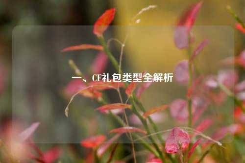 一、CF礼包类型全解析