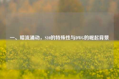 一、暗流涌动，S10的特殊性与DWG的崛起背景