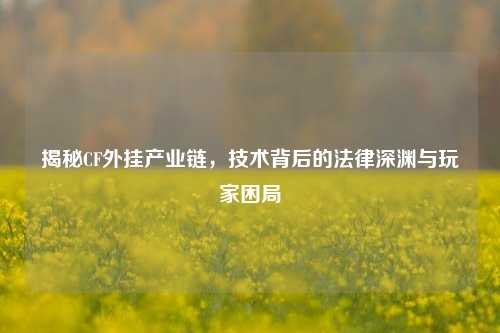 揭秘CF外挂产业链，技术背后的法律深渊与玩家困局