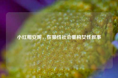 小红帽安妮，在狼性社会重构女性叙事