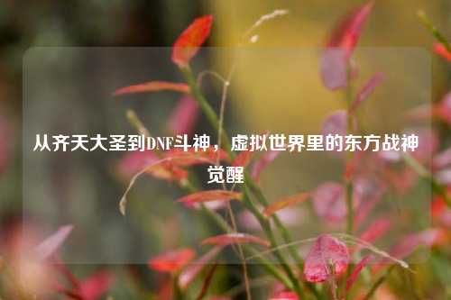 从齐天大圣到DNF斗神，虚拟世界里的东方战神觉醒