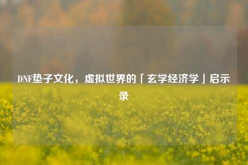DNF垫子文化，虚拟世界的「玄学经济学」启示录