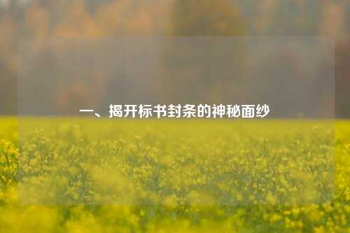 一、揭开标书封条的神秘面纱