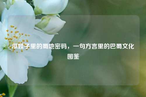 瓜娃子里的蜀地密码，一句方言里的巴蜀文化图鉴