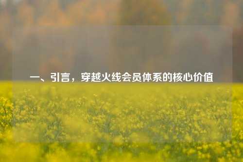 一、引言，穿越火线会员体系的核心价值