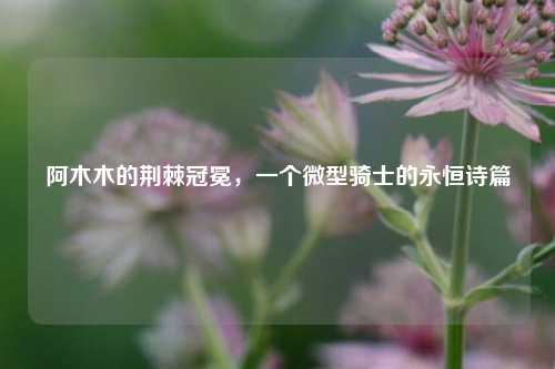 阿木木的荆棘冠冕，一个微型骑士的永恒诗篇