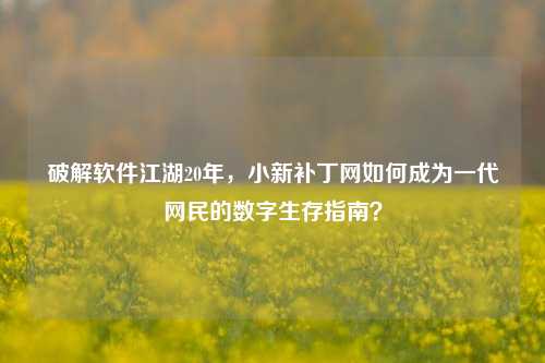 破解软件江湖20年，小新补丁网如何成为一代网民的数字生存指南？