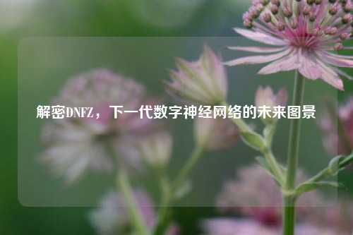 解密DNFZ，下一代数字神经网络的未来图景