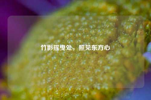 竹影摇曳处，照见东方心