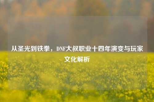 从圣光到铁拳，DNF大叔职业十四年演变与玩家文化解析