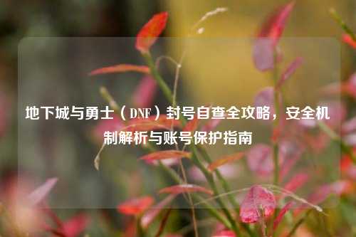 地下城与勇士（DNF）封号自查全攻略，安全机制解析与账号保护指南