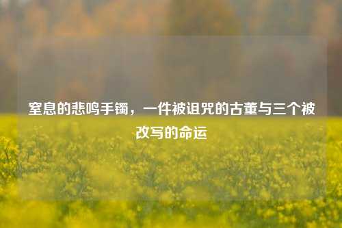 窒息的悲鸣手镯，一件被诅咒的古董与三个被改写的命运