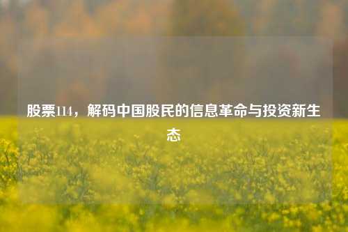 股票114，解码中国股民的信息革命与投资新生态