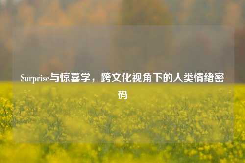 Surprise与惊喜学，跨文化视角下的人类情绪密码