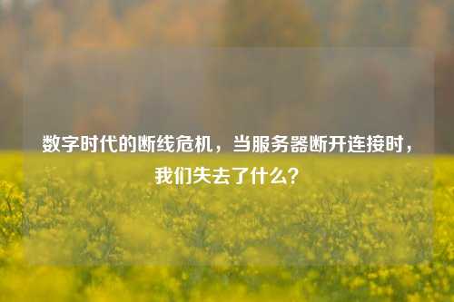 数字时代的断线危机，当服务器断开连接时，我们失去了什么？