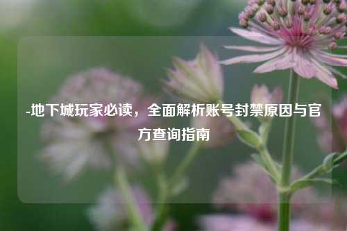 -地下城玩家必读，全面解析账号封禁原因与官方查询指南