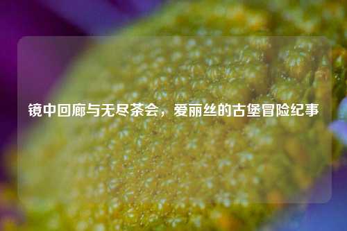 镜中回廊与无尽茶会，爱丽丝的古堡冒险纪事