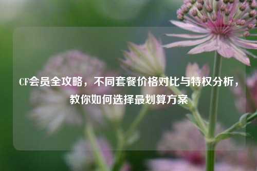 CF会员全攻略，不同套餐价格对比与特权分析，教你如何选择最划算方案