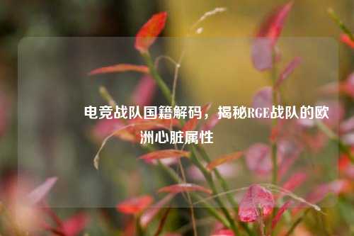 ?电竞战队国籍解码，揭秘RGE战队的欧洲心脏属性