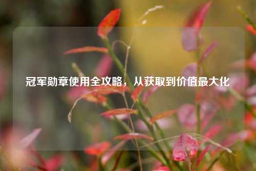 冠军勋章使用全攻略，从获取到价值最大化
