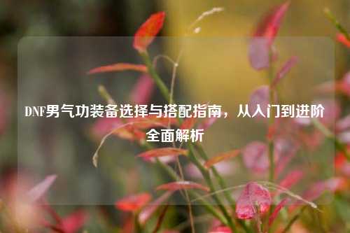 DNF男气功装备选择与搭配指南，从入门到进阶全面解析