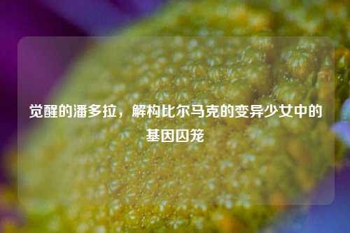 觉醒的潘多拉，解构比尔马克的变异少女中的基因囚笼