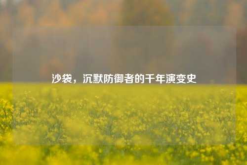 沙袋，沉默防御者的千年演变史