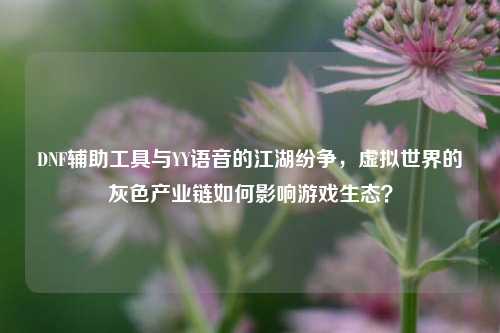 DNF辅助工具与YY语音的江湖纷争，虚拟世界的灰色产业链如何影响游戏生态？
