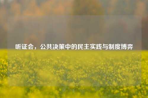 听证会，公共决策中的民主实践与制度博弈