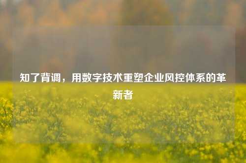 知了背调，用数字技术重塑企业风控体系的革新者