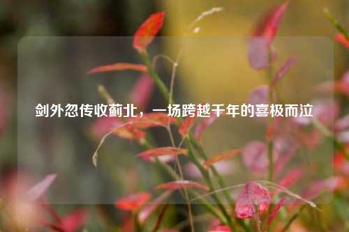 剑外忽传收蓟北，一场跨越千年的喜极而泣