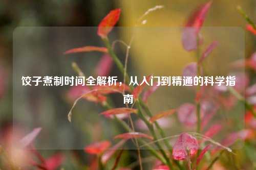 饺子煮制时间全解析，从入门到精通的科学指南