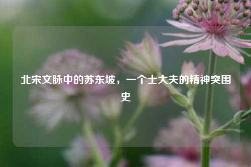 北宋文脉中的苏东坡，一个士大夫的精神突围史
