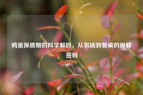 鸡蛋保质期的科学解码，从农场到餐桌的保鲜密码