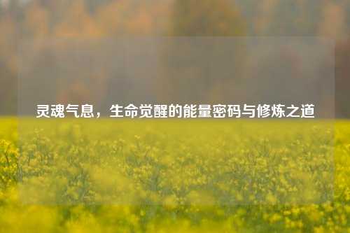 灵魂气息，生命觉醒的能量密码与修炼之道