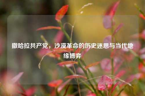 撒哈拉共产党，沙漠革命的历史迷思与当代地缘博弈