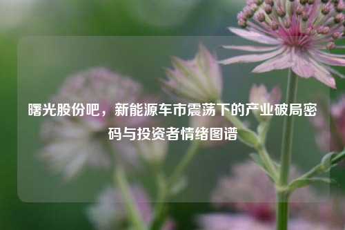 曙光股份吧，新能源车市震荡下的产业破局密码与投资者情绪图谱