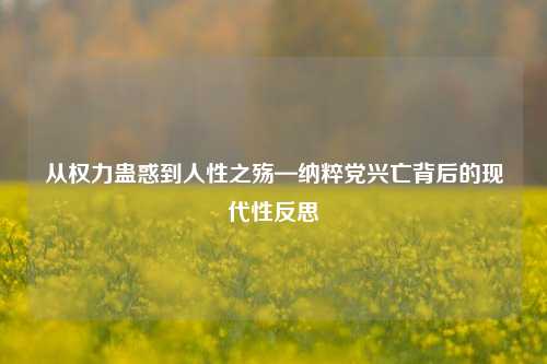 从权力蛊惑到人性之殇—纳粹党兴亡背后的现代性反思
