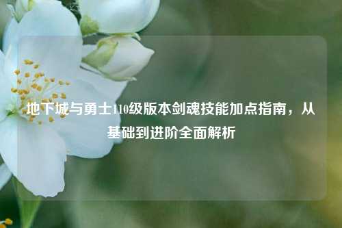 地下城与勇士110级版本剑魂技能加点指南，从基础到进阶全面解析