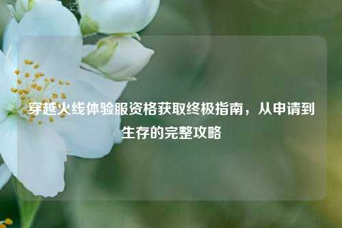 穿越火线体验服资格获取终极指南，从申请到生存的完整攻略