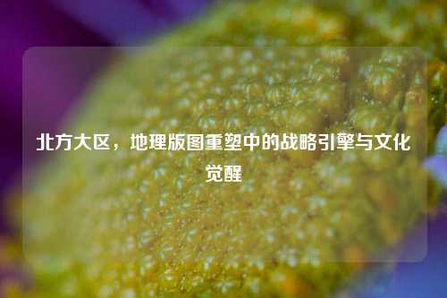 北方大区，地理版图重塑中的战略引擎与文化觉醒