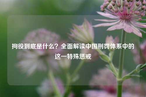 拘役到底是什么？全面解读中国刑罚体系中的这一特殊惩戒