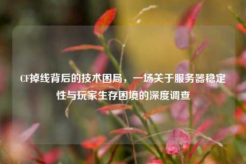 CF掉线背后的技术困局，一场关于服务器稳定性与玩家生存困境的深度调查