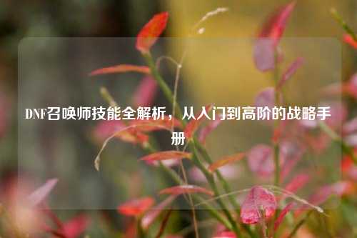 DNF召唤师技能全解析，从入门到高阶的战略手册