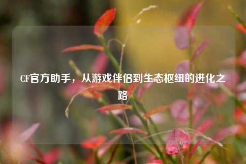 CF官方助手，从游戏伴侣到生态枢纽的进化之路