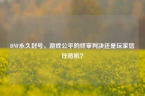 DNF永久封号，游戏公平的终审判决还是玩家信任危机？